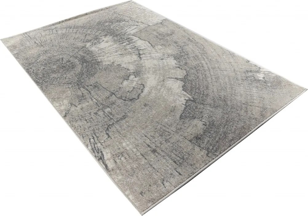 TA Koberec 1103 1 244 LYDIA Rozmer: 200x300 cm