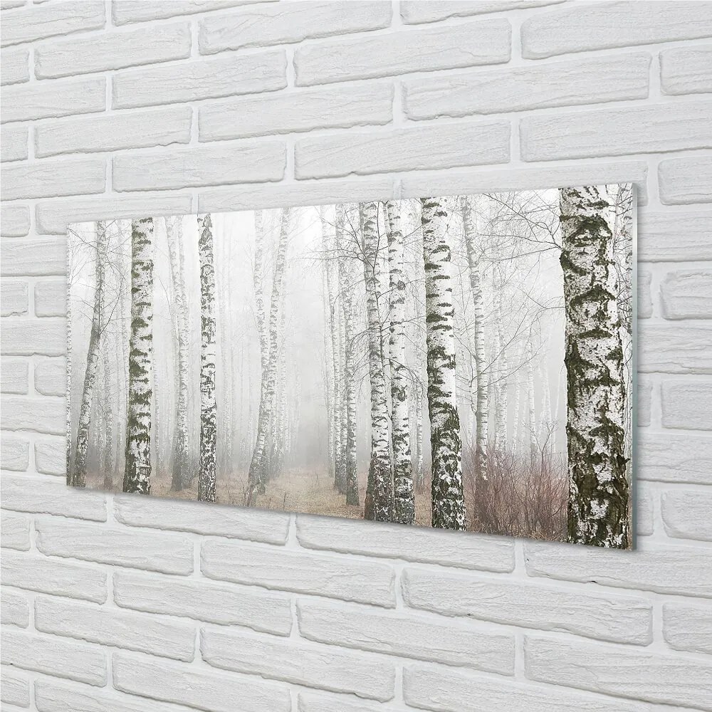 Sklenený obraz hmla breza 125x50 cm