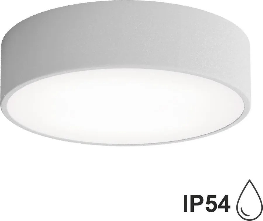 Kúpeľňové stropné svietidlo CLEO 2xE27/24W/230V pr. 30 cm šedá IP54