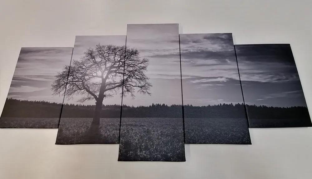 5-dielny obraz osamelého stromu v čiernobielom prevedení - 200x100