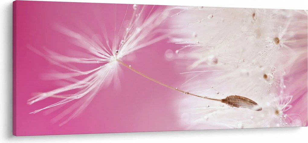 Obraz - Makro kvetu (120x50 cm)