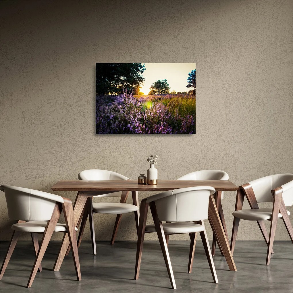 Sklenený obraz poľa levanduľou (70x50 cm)