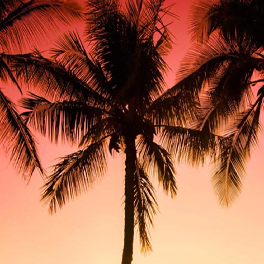 Ozdobný paraván Palm Beach Sun - 180x170 cm, päťdielny, obojstranný paraván 360°