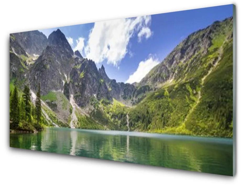 Obraz plexi Hora jazero príroda 100x50cm