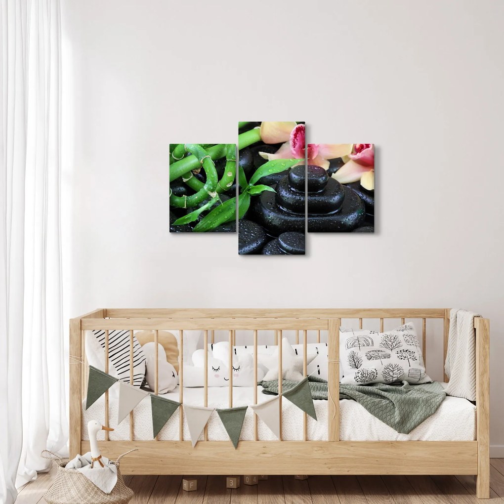 Obraz - Kamene a orchidey (90x60 cm)