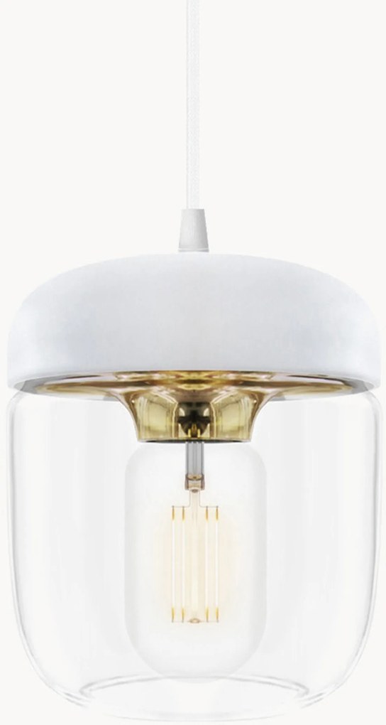 Závesné svietidlo Acorn