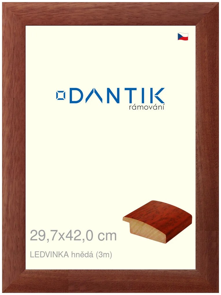 DANTIK rám na obraz 29,7x42 | LEDVINKA hnědá (Plexi Čiré)