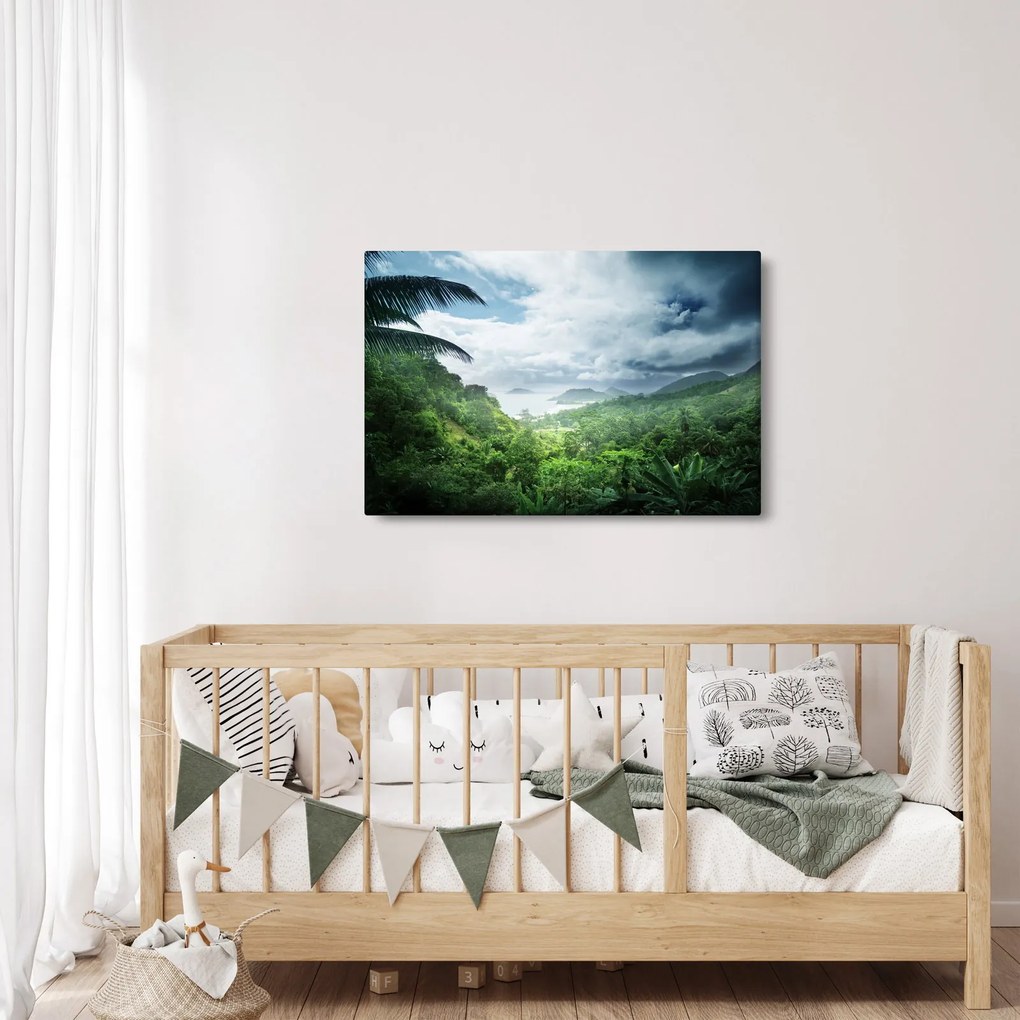 Obraz - Seychelská jungle (90x60 cm)