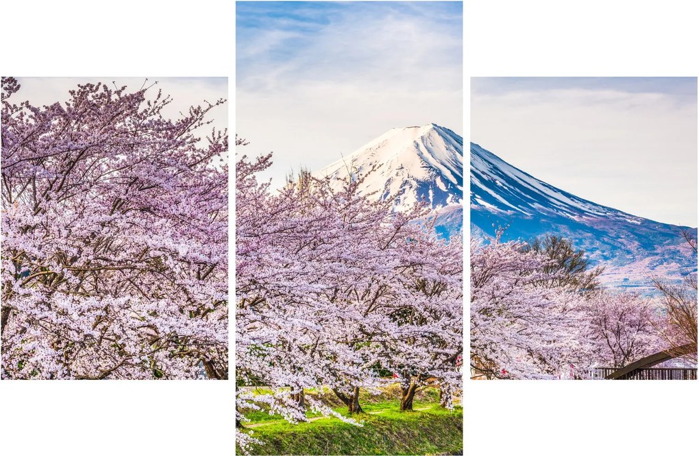 Obraz - Japonsko na jar (90x60 cm)