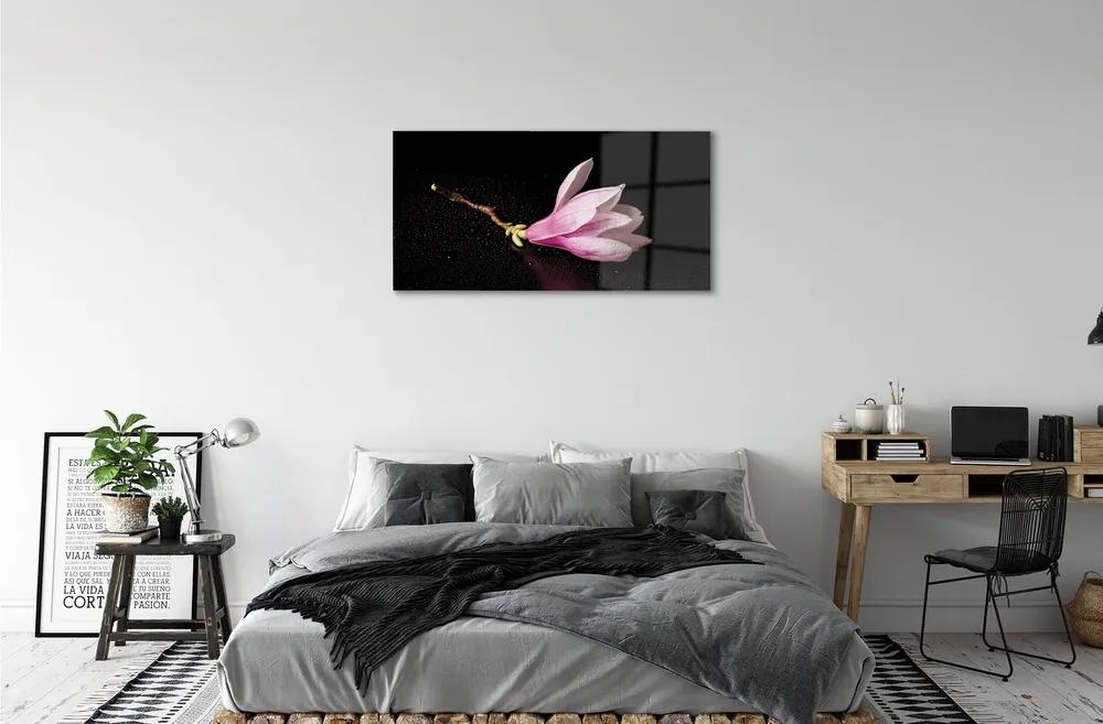 Sklenený obraz kvetina voda 100x50 cm