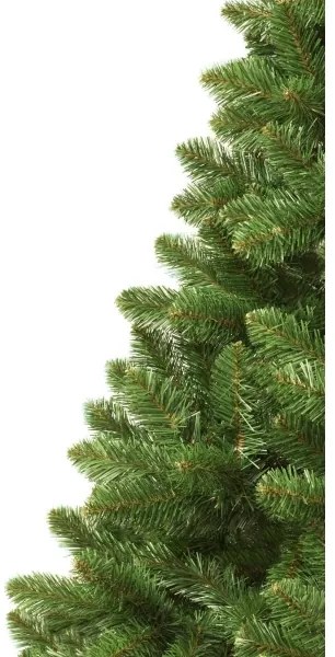 Vianočný stromček jedľa, výška 250 cm