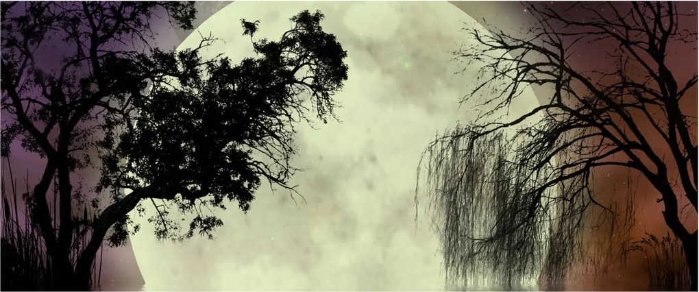 Obraz - Spln nad hladinou (120x50 cm)
