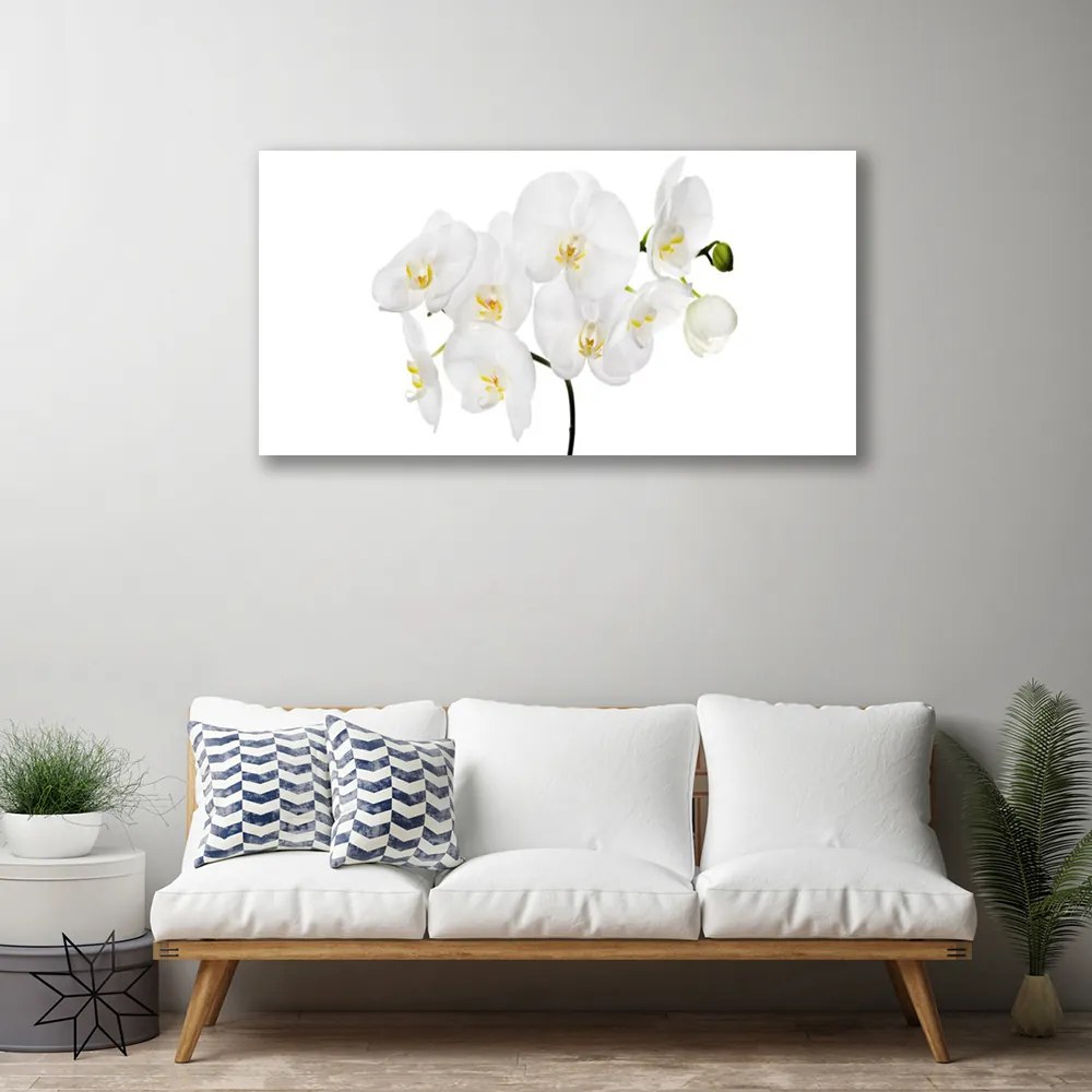 Obraz Canvas Biela orchidea kvety 100x50 cm