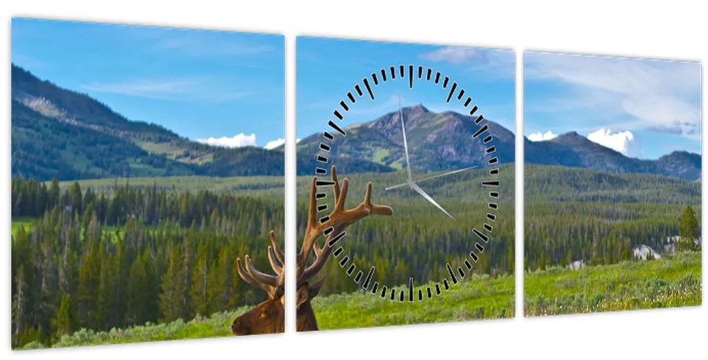 Obraz - Jeleň v lúke (s hodinami) (90x30 cm)