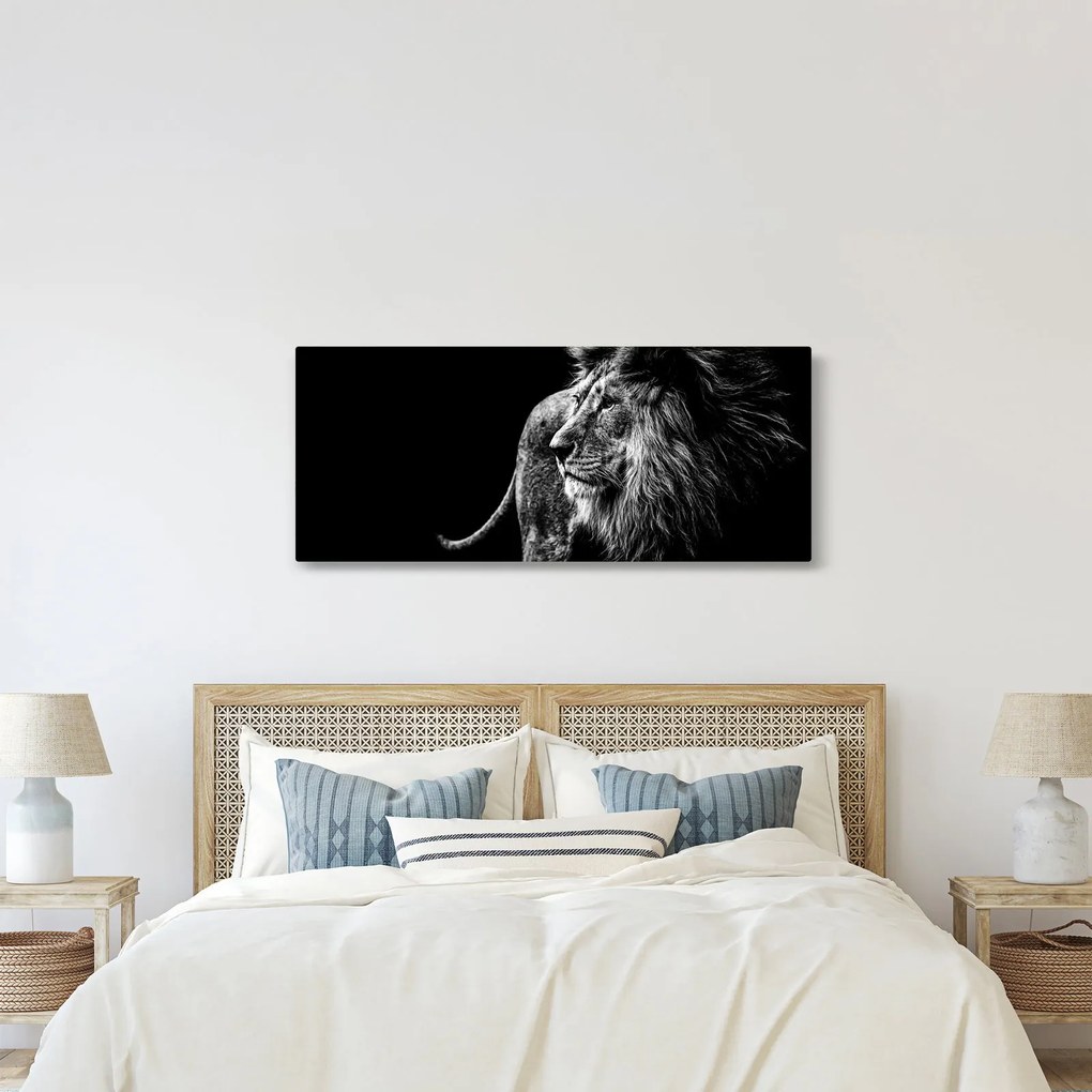 Obraz - Lev, čiernobiela (120x50 cm)