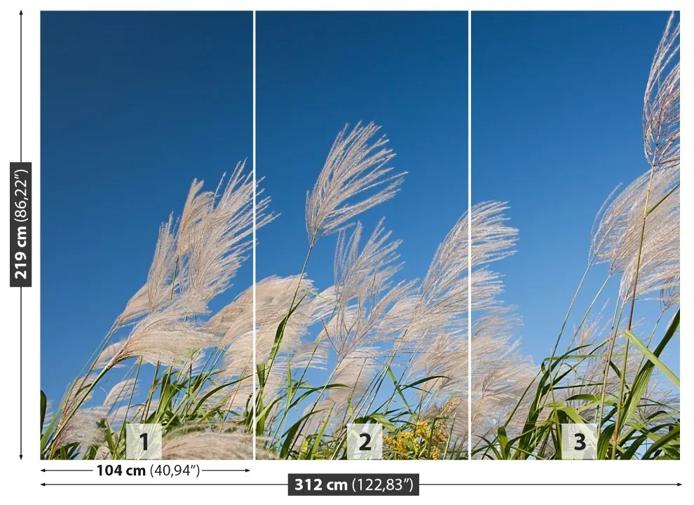 Fototapeta Vliesová Japonská tráva 208x146 cm