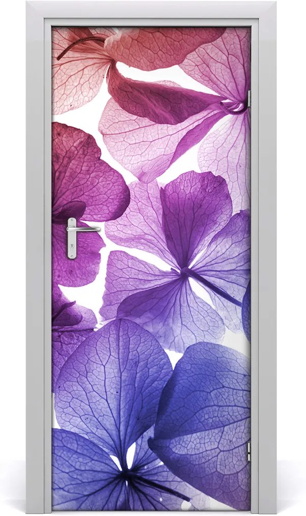 Fototapeta na dvere  fialové kvety