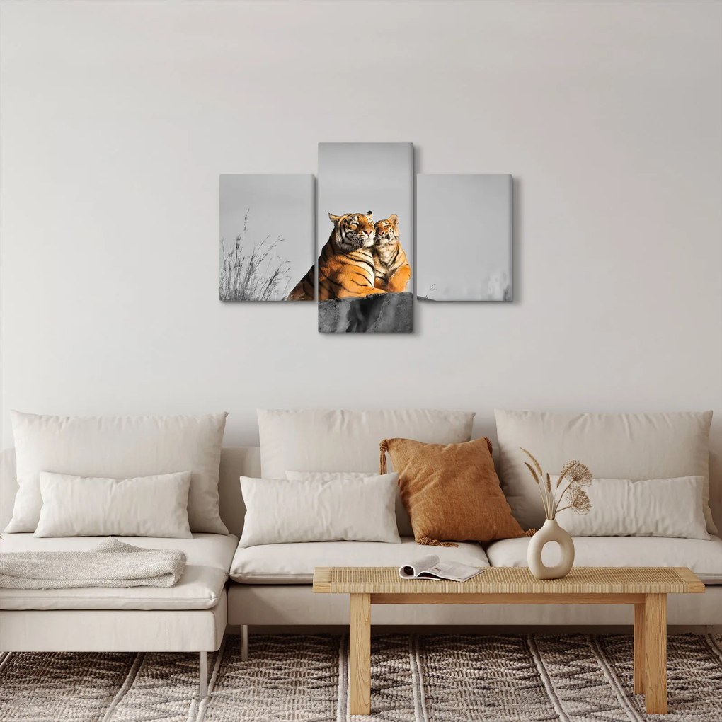 Obraz - Tigrice a jej mláďa, čiernobiely variant (90x60 cm)