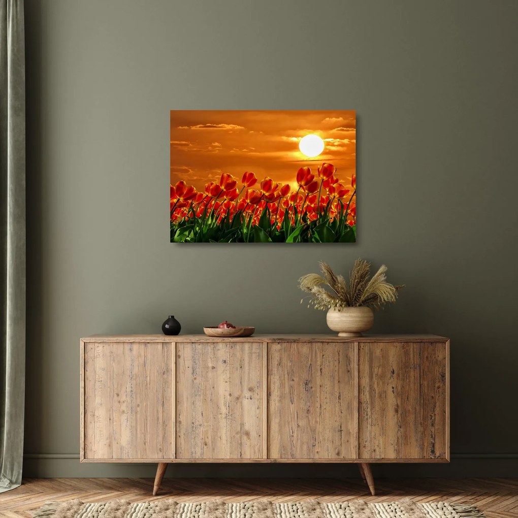 Sklenený obraz rozkvitnutého lánu s tulipánmi (70x50 cm)