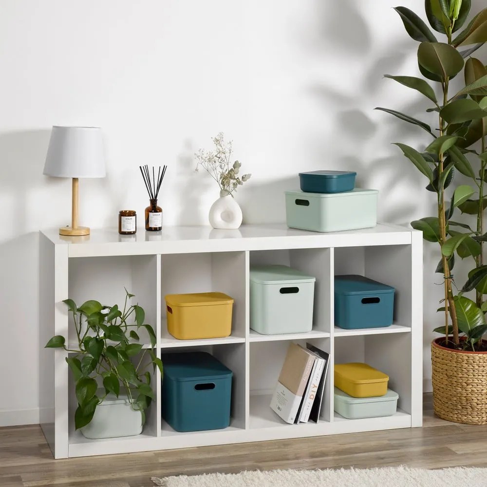 Svetlozelený plastový úložný box s vekom 24x18x8 cm – Homéa