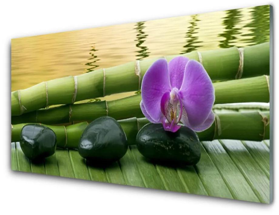 Nástenný panel  Kvet kamene bambus príroda 140x70cm