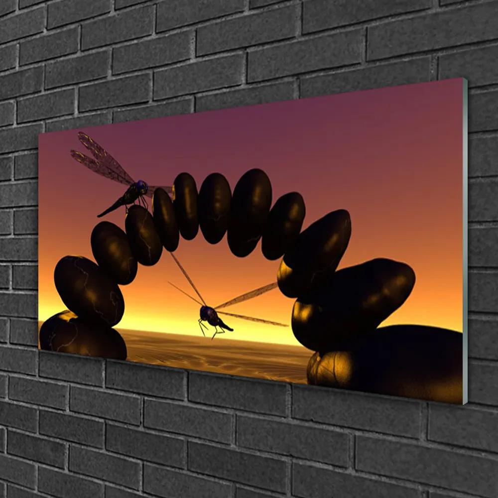 Skleneny obraz Vážky kamene umenie 100x50 cm