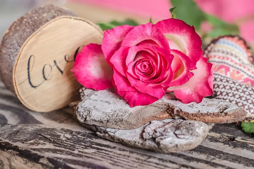 Fototapeta zátišie ruže s nápisom Love