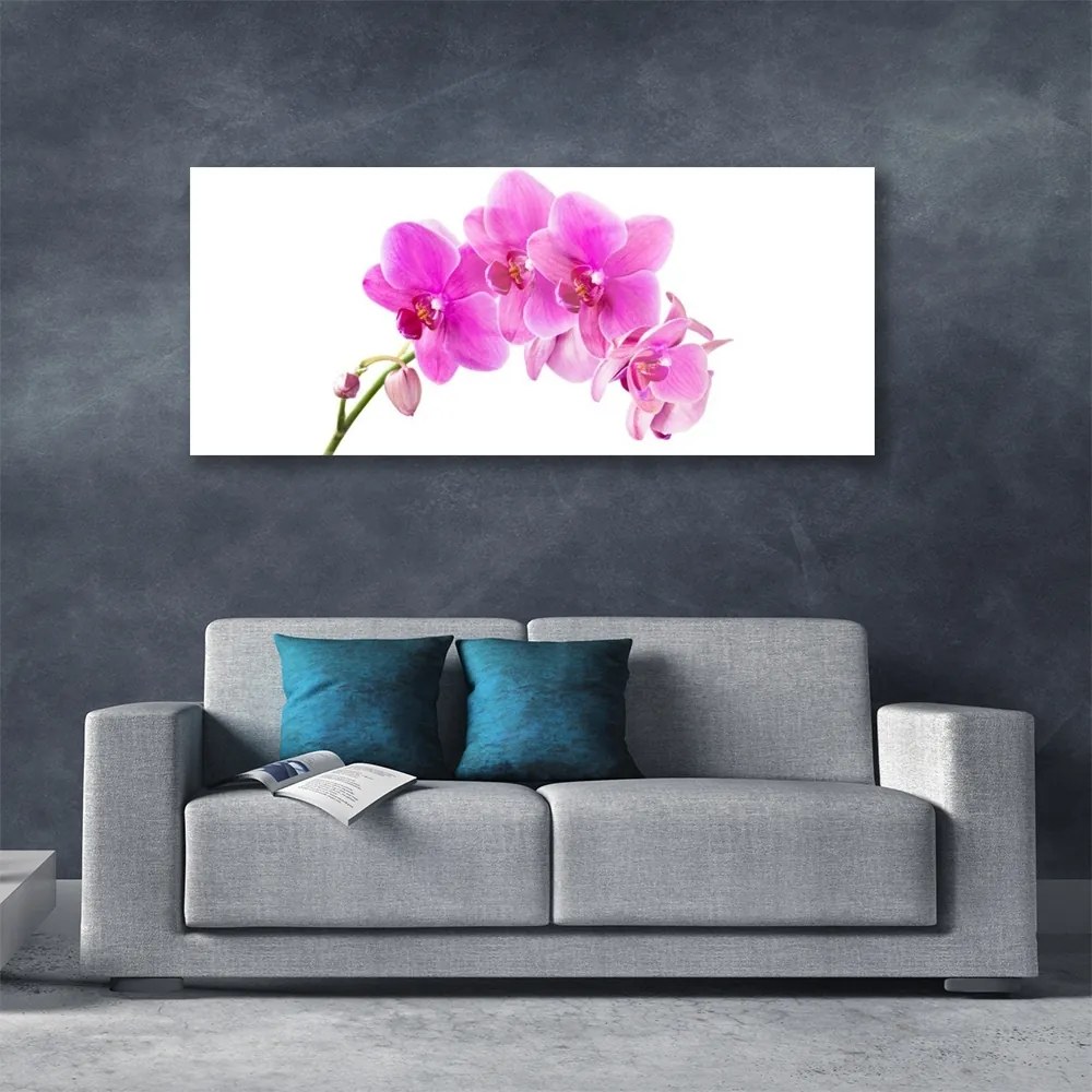 Obraz plexi Vstavač kvet orchidea 125x50 cm