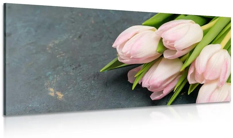 Obraz pastelovo ružové tulipány Varianta: 120x60