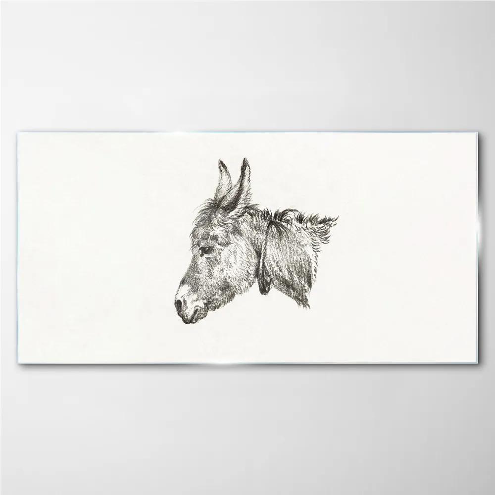 Obraz na skle Kreslenie zvierat somárov