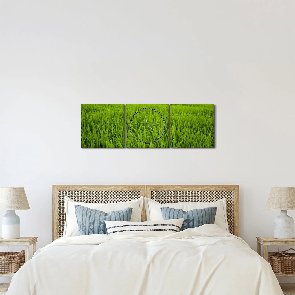 Obraz trávy (s hodinami) (90x30 cm)