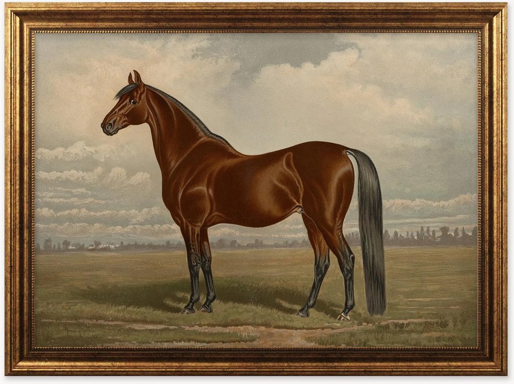 Nástenná dekorácia v ráme Equine