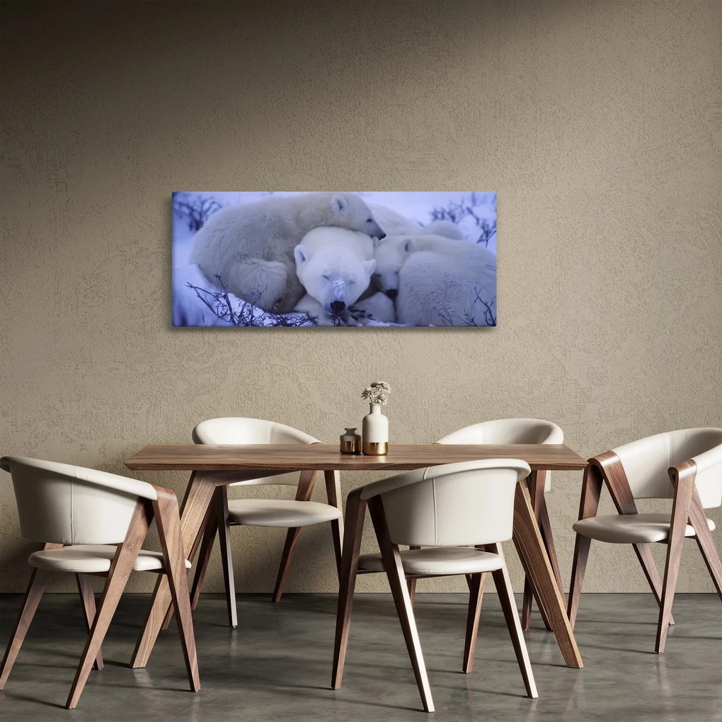 Obraz - Ľadové medvedíky (120x50 cm)