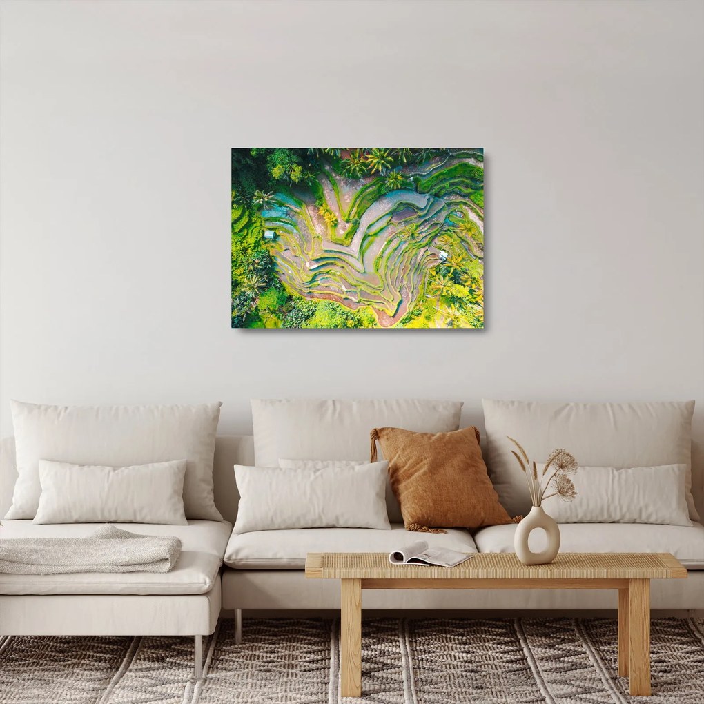 Sklenený obraz ryžových polí z vtáčej perspektívy (70x50 cm)