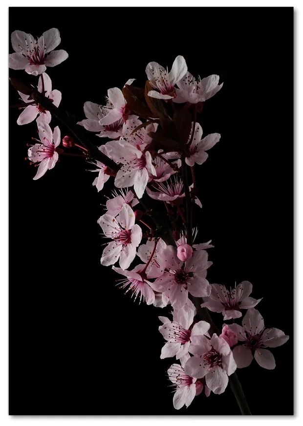 Moderný akrylový fotoobraz Kvety višne pl-oa-70x100-f-80647628