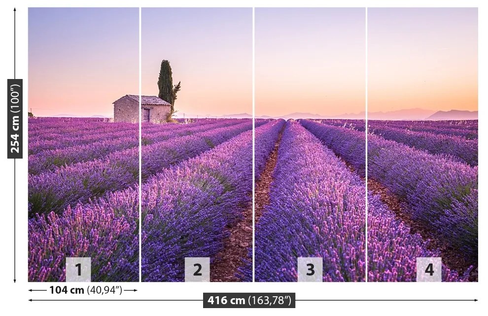 Fototapeta Vliesová Provence levandule 312x219 cm