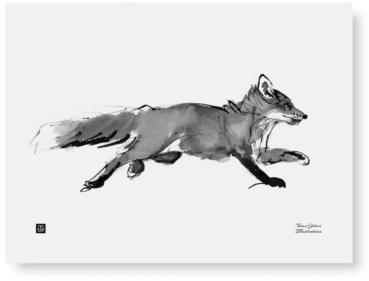 Plagát Adventurous Fox 40x30