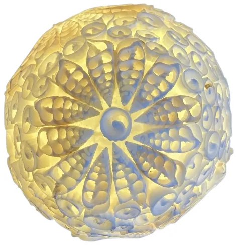 Boho lampa seashell GOLDEN SUN Tiffany styl Branches Ø15*37