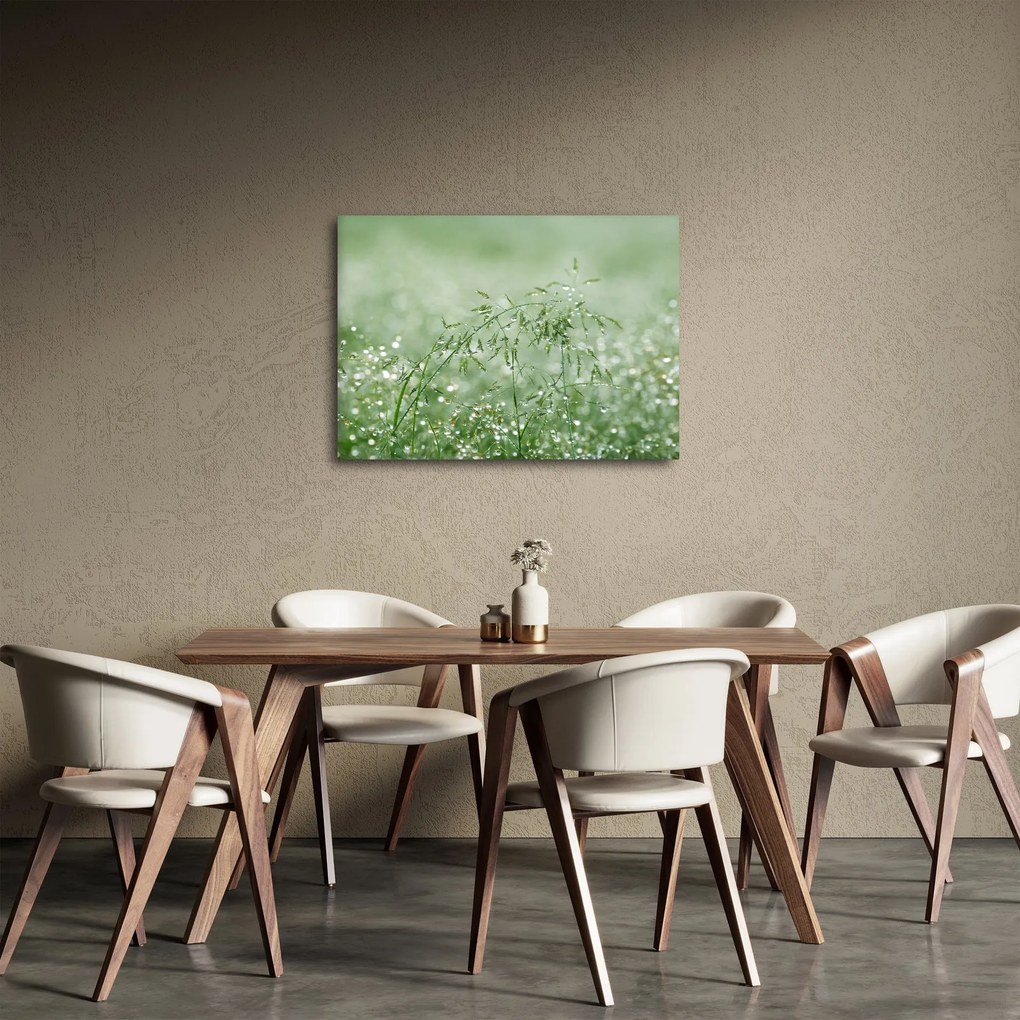 Obraz - Rosa v tráve (70x50 cm)