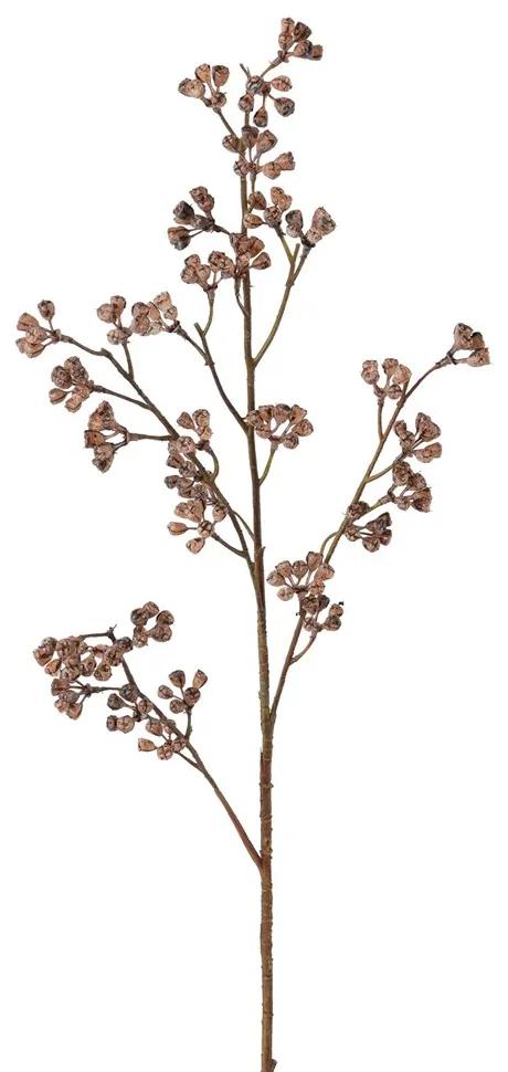 Gasper Eukalyptová ovocná vetva V. 78cm tmavo ružová