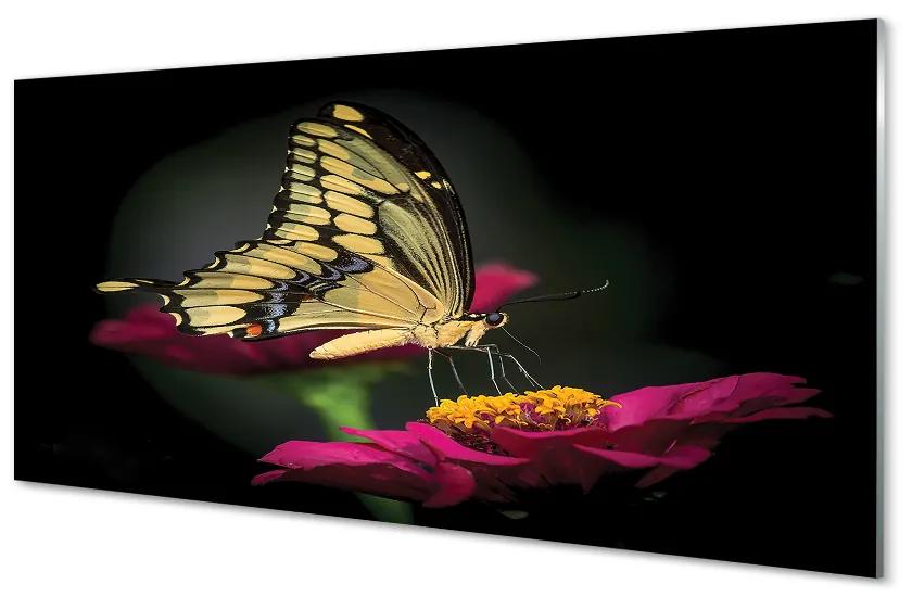 Nástenný panel  Motýľ na kvetine 100x50 cm