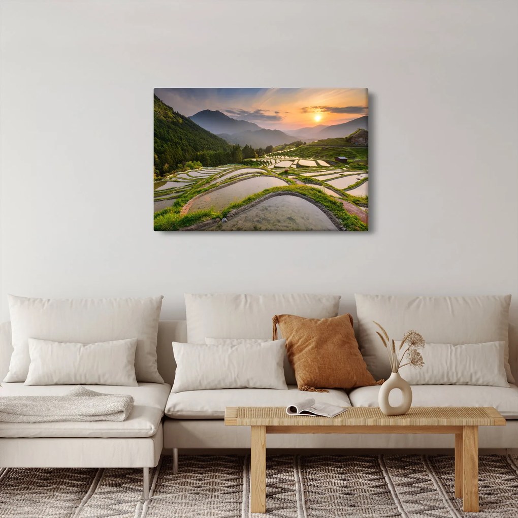 Obraz - Ryžové terasy (90x60 cm)