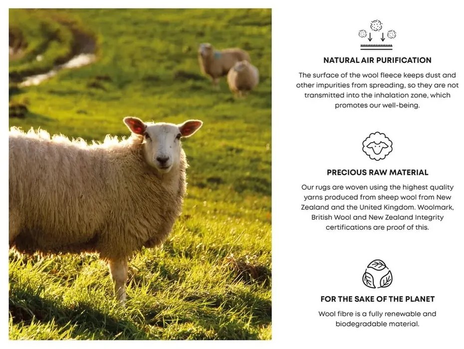 Sivo-béžový vlnený koberec 133x190 cm Niagara graphite – Agnella