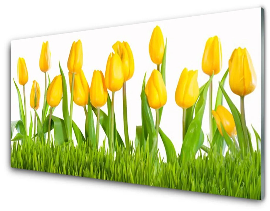 Obraz na akrylátovom skle Tulipány 120x60 cm