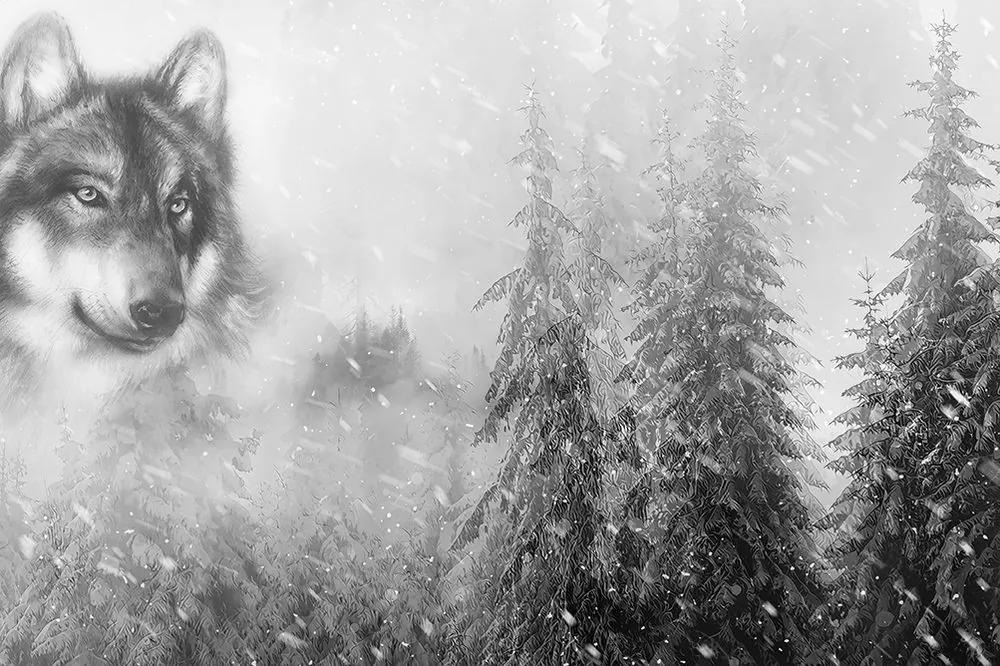 Tapeta čiernobiely vlk v zasneženej krajine - 150x100