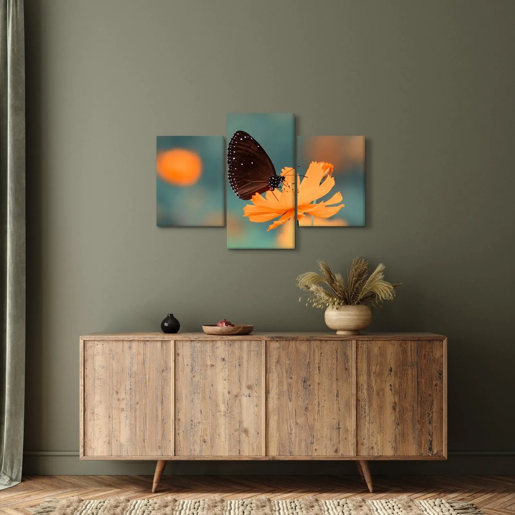 Obraz - motýľ na oranžovom kvete (90x60 cm)