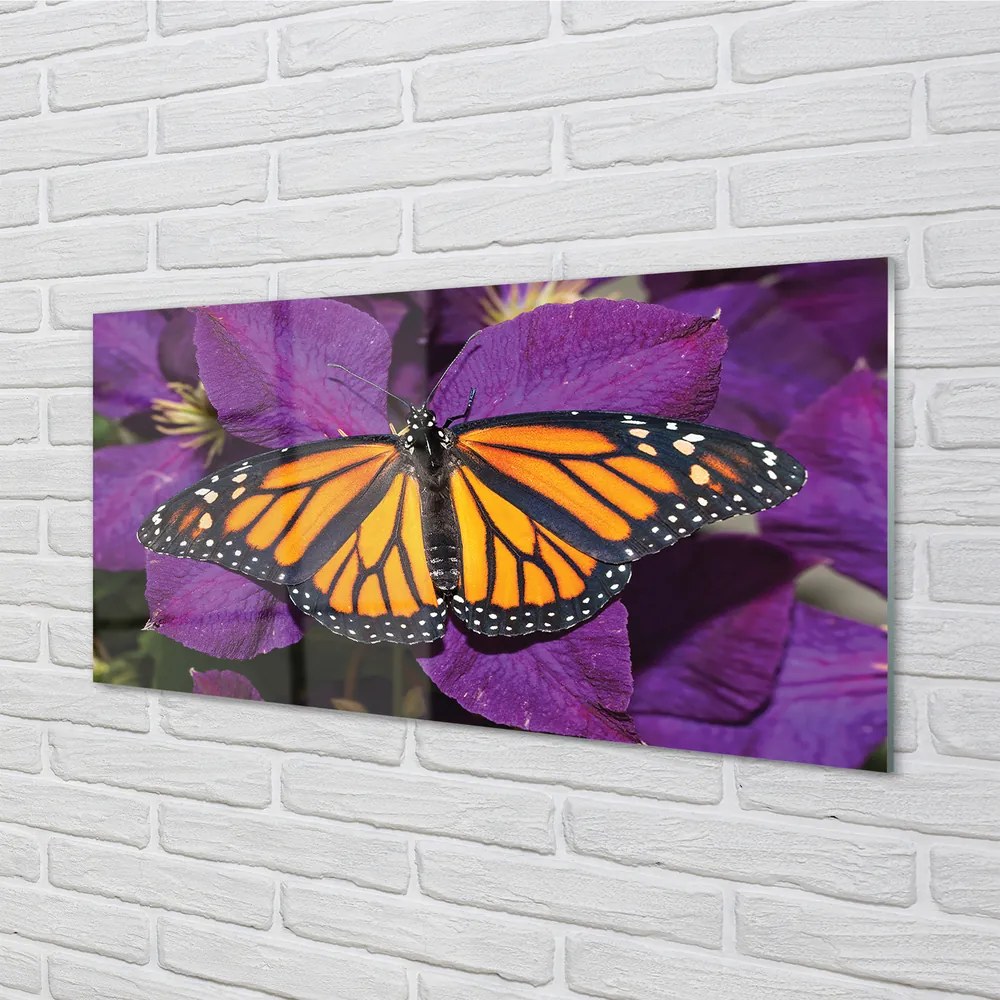 Obraz na akrylátovom skle Farebný motýľ kvety 125x50 cm