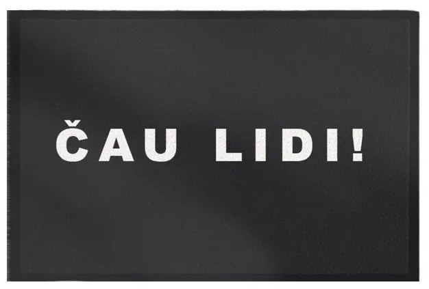 GDmats, Rohožka Čau lidi 40x60 cm – na von aj na doma, 40x60, šedá