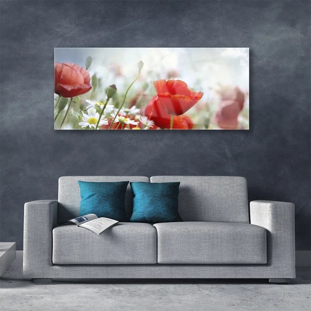 Obraz plexi Kvety plátky rastlina 125x50 cm