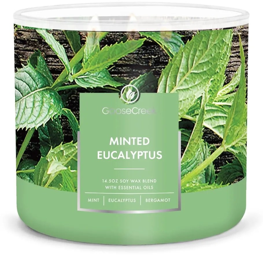 Vonná sviečka Goose Creek Minted Eucalyptus, doba horenia 35 h